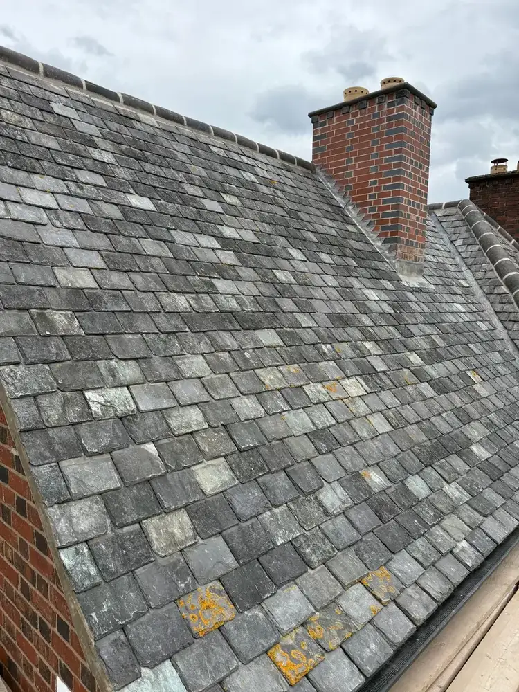 New Roofs & Re-Roofs - Photo 1